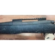 Remington 700 .300WM