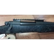 Remington 700 .300WM