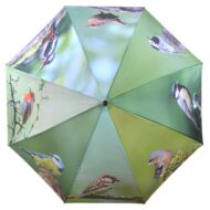 Esernyő kerti madarak mintával